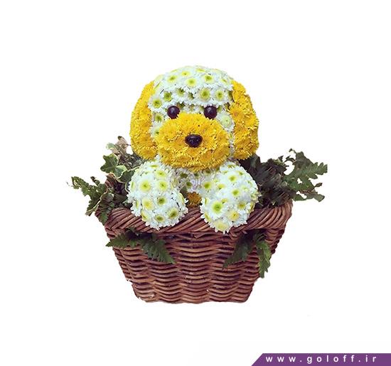 وب سایت گل فروشی - سبد گل زایمان تایگر - Flower Toy | گل آف